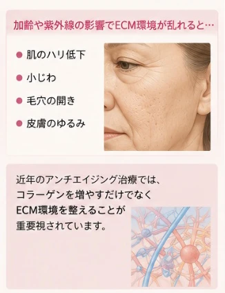 肌のハリ低下、小じわ、毛穴の開き、皮膚のゆるみ
